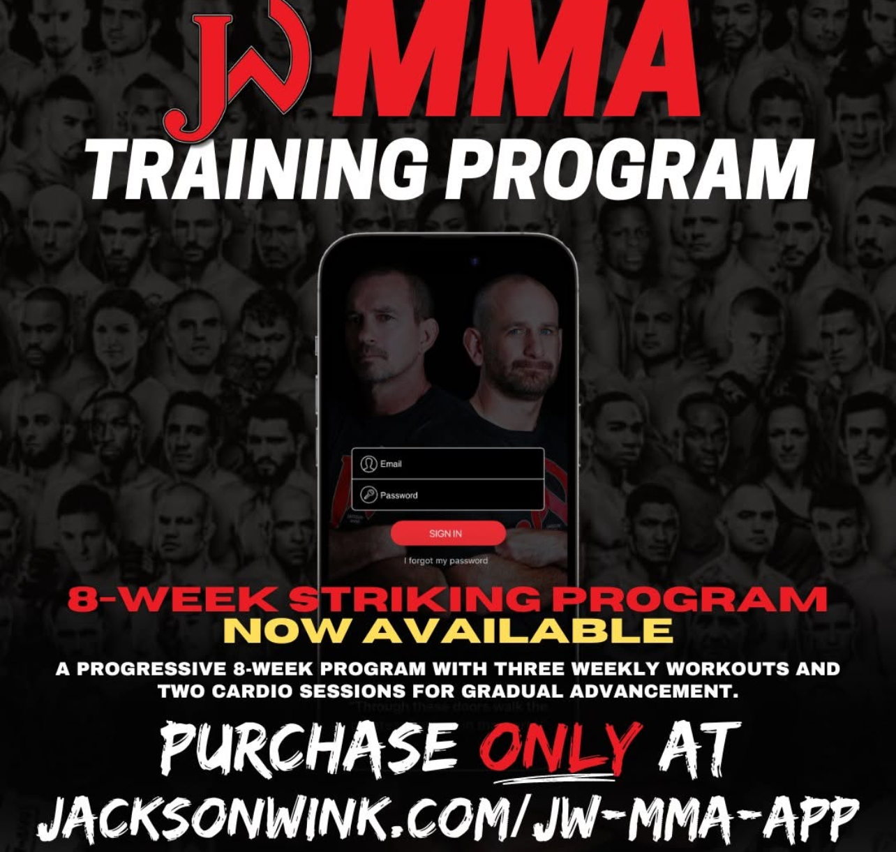 WE GO TO JACKSON'S AND SHOW THEM HOW WE FUNNEL THESE PEOPLE TO THEM MAKING JACKSON'S AND ANY GYM WITH THE JACKSON'S NAME DOMINATE ANY SEARCH ENGINE