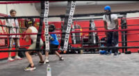 KIDS AND ADULT SPARRING & FIGHT CAMPS BOXING PROGRAM