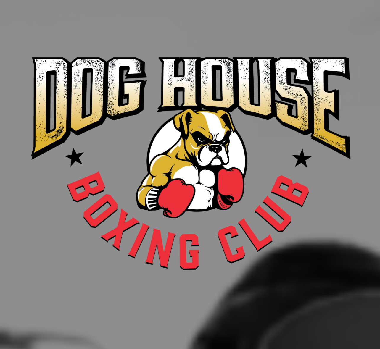 HERE WE ADVERTISE YOUR SPORTS BAR, WE BRING BIG PPV FIGHTS IN MULTIPLE COMBAT SPORTS