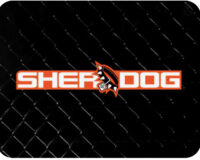 RAGE IN THE CAGE PRO MMA