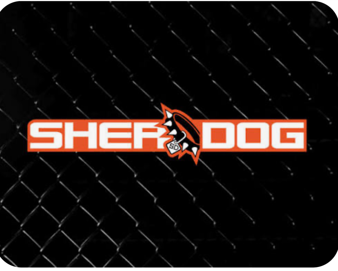 RAGE IN THE CAGE PRO MMA