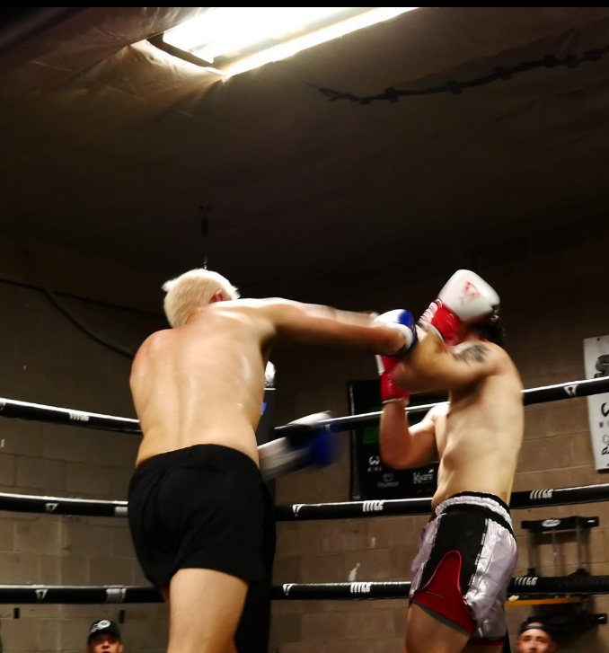 PRO BOXING ADULTS AND KIDS