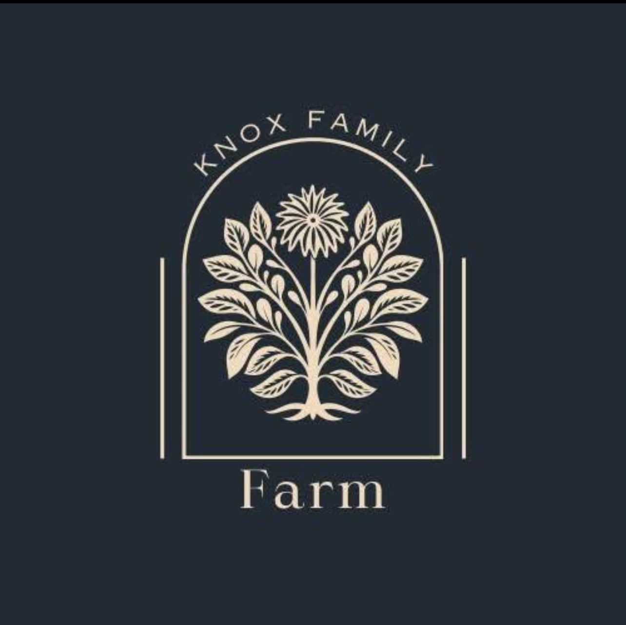 HERE WE CONNECT WITH SPORTS BARS, DISPENSARIES, LOUNGES, FOR FIGHT NIGHT WATCH PARTIES FOR THE GYMS ON THE CARDS AND FANS