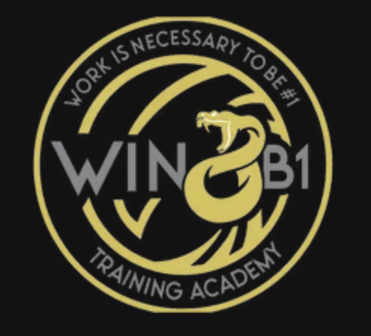 WIN2B1 IS A NON-PROFIT ORGINIZATION CENTERED AROUND HELPING AT RISK YOUTH AND YOUNG ADULTS. WE UTILIZIE THE DICSIPLINE, CONSISTANCY, & SELF CONTROL BOXING INHEARATLEY OFFERS TO PROVIDE THE SOCIAL AND JOB SKILLS NEEDED FOR OUR YOUTH TO COMPETE IN THE RING AND IN TODAY'S JOB MARKET. WE ARE CURRENTLY GATHEREING LOCAL BUSINESSES FOR THE SOFT LAUNCH OF OUR NEWEST COMMUNITY OUTREACH PROGRAM.