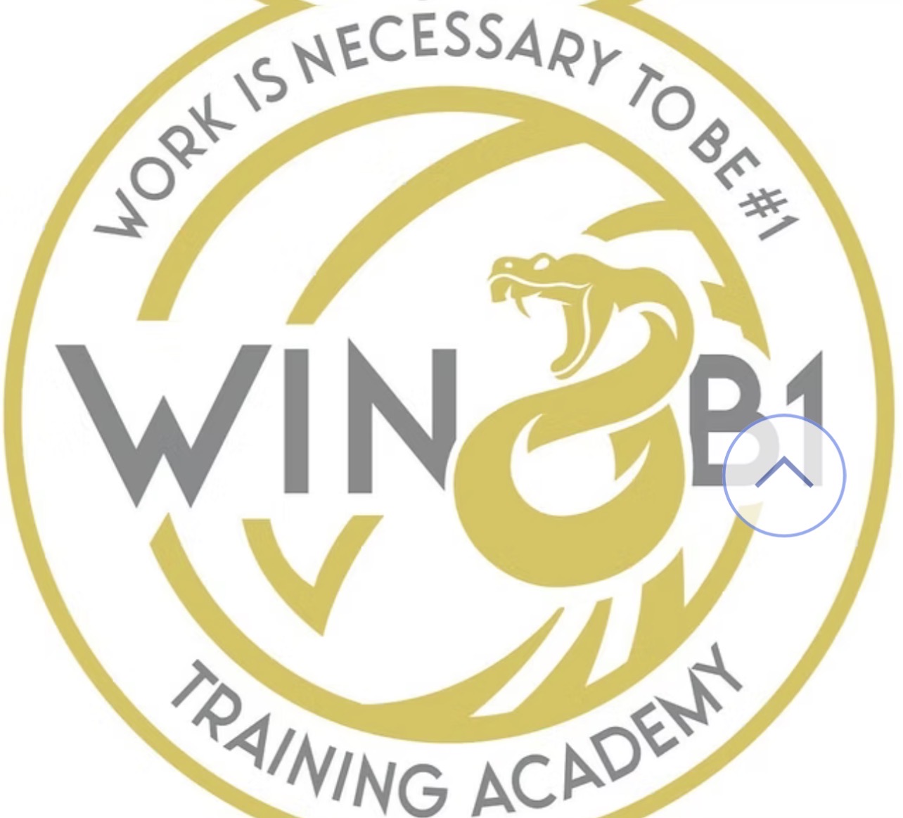 WIN2B1 IS A NON-PROFIT ORGANIZATION CENTERED AROUND HELPING AT RISK YOUTH AND YOUNG ADULTS. WE UTILIZE THE DISCIPLINE, CONSISTENCY, & SELF CONTROL BOXING INHERENTLY OFFERS TO PROVIDE THE SOCIAL AND JOB SKILLS NEEDED FOR OUR YOUTH TO COMPETE IN THE RING AND IN TODAY'S JOB MARKET. WE ARE CURRENTLY GATHERING LOCAL BUSINESSES FOR THE SOFT LAUNCH OF OUR NEWEST COMMUNITY OUTREACH PROGRAM.